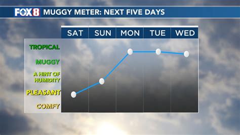 wvue fox 8|More.